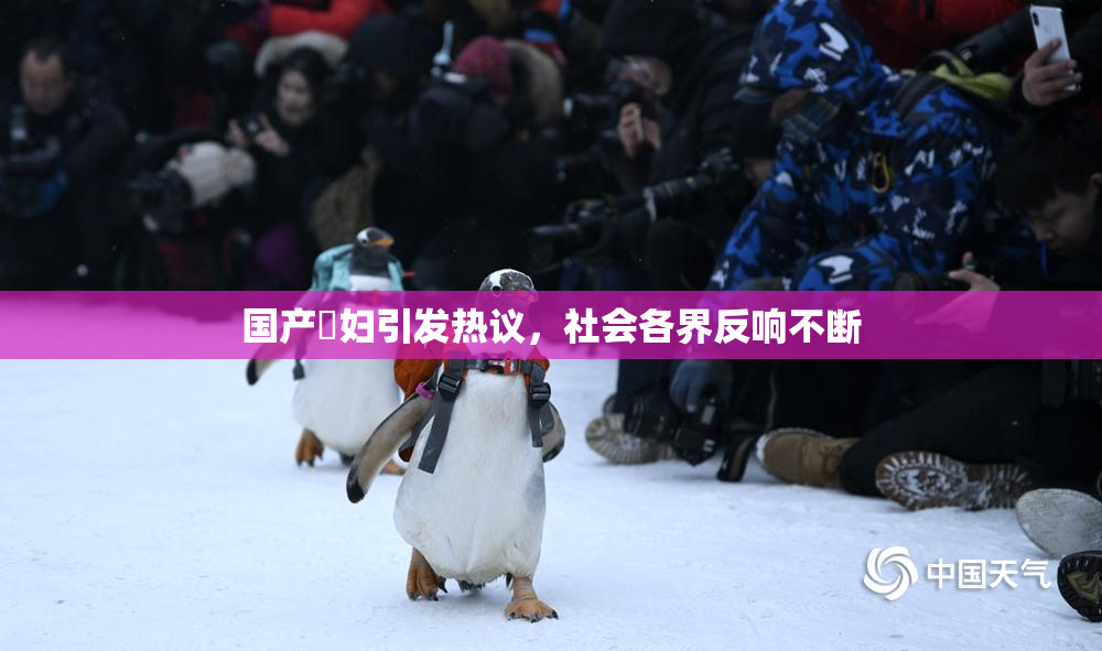 国产婬妇引发热议，社会各界反响不断