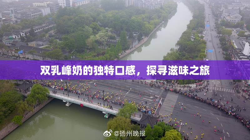 双乳峰奶的独特口感，探寻滋味之旅