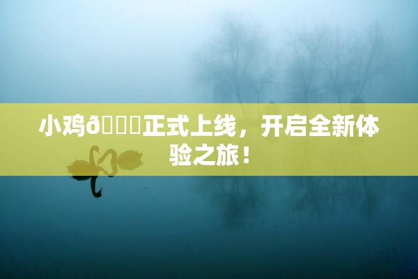 小鸡🐔正式上线，开启全新体验之旅！