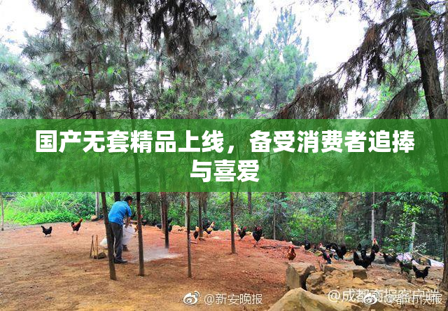 国产无套精品上线，备受消费者追捧与喜爱