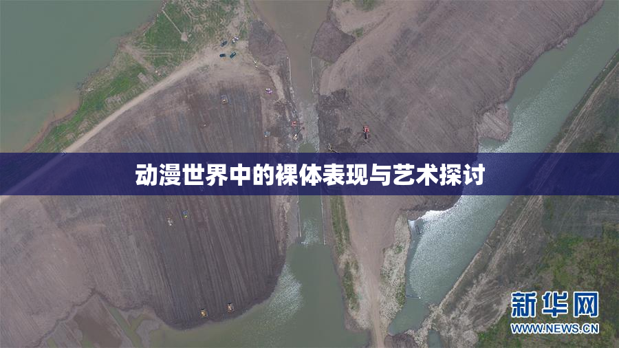 动漫世界中的裸体表现与艺术探讨