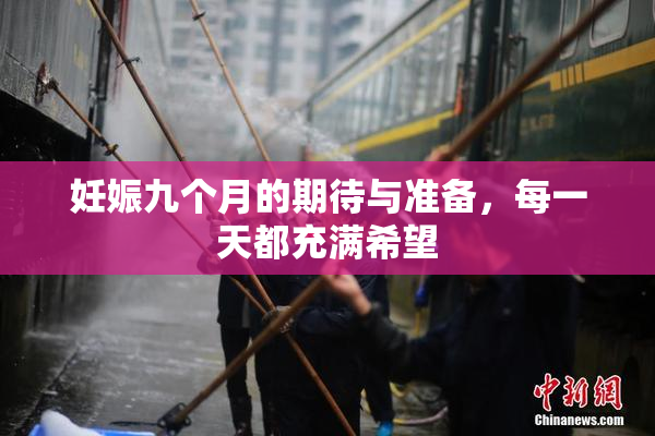妊娠九个月的期待与准备，每一天都充满希望