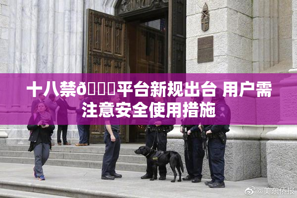 十八禁🔞平台新规出台 用户需注意安全使用措施