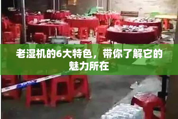 老湿机的6大特色，带你了解它的魅力所在