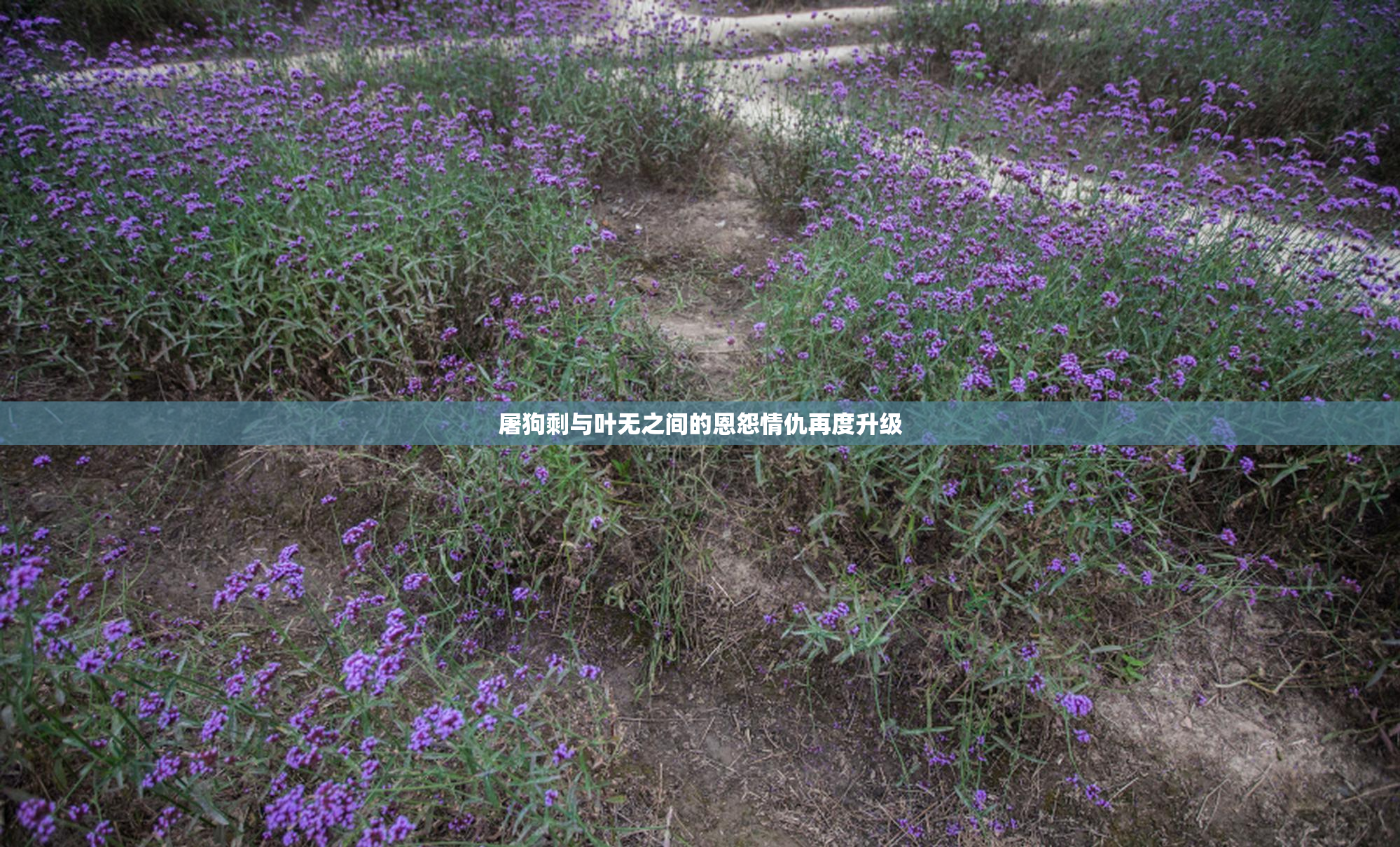 屠狗剩与叶无之间的恩怨情仇再度升级