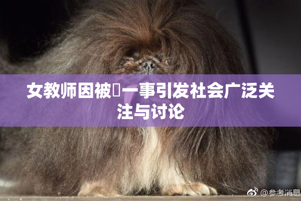 女教师因被婬一事引发社会广泛关注与讨论