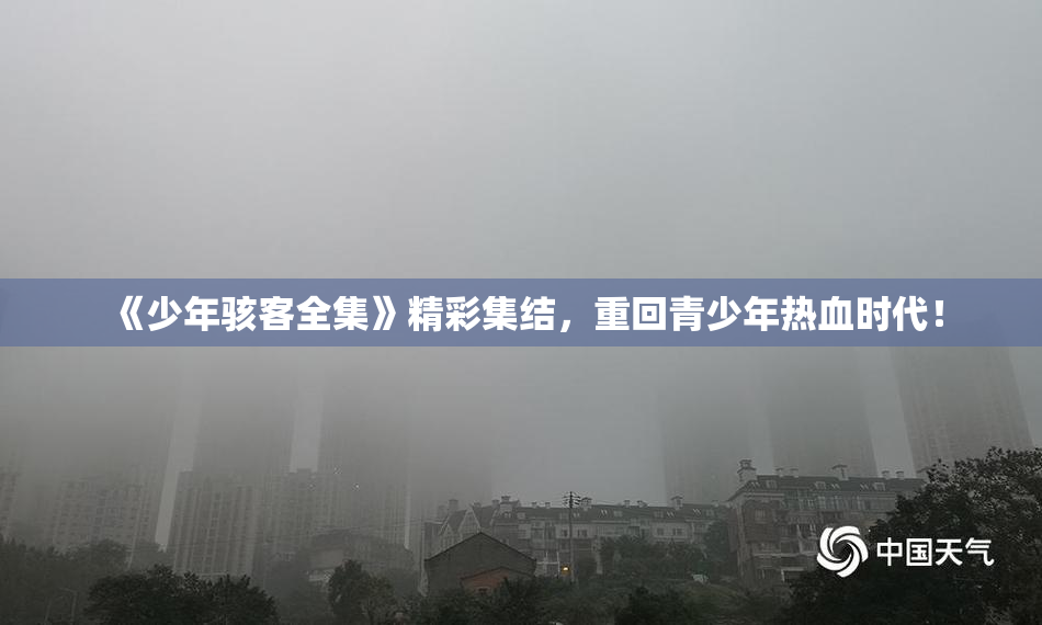 《少年骇客全集》精彩集结，重回青少年热血时代！