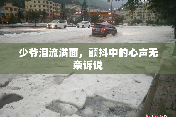 少爷泪流满面，颤抖中的心声无奈诉说