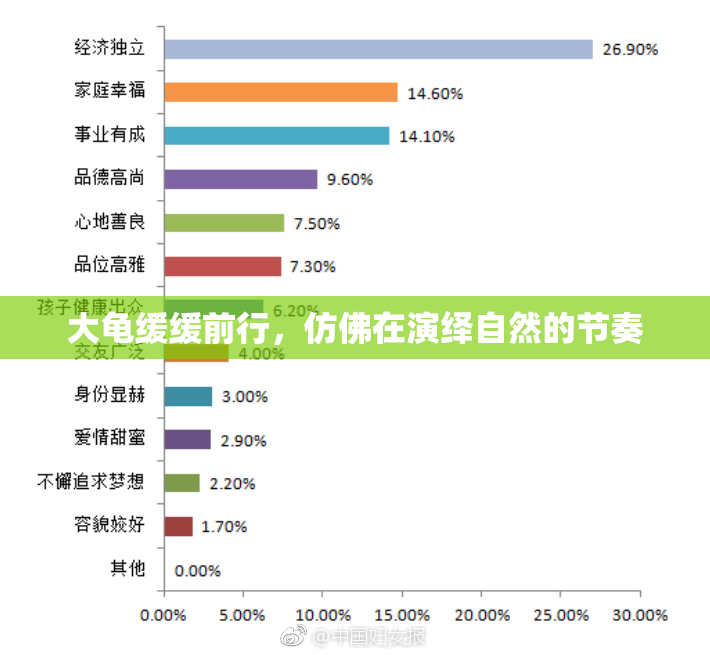 大龟缓缓前行，仿佛在演绎自然的节奏