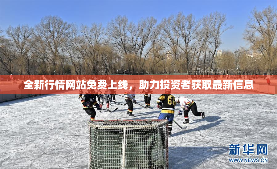 全新行情网站免费上线，助力投资者获取最新信息