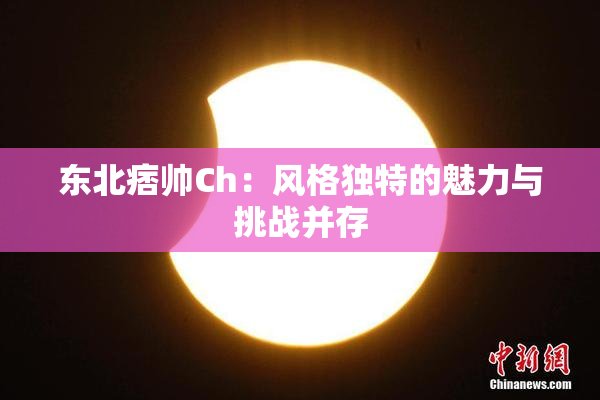 东北痞帅Ch：风格独特的魅力与挑战并存