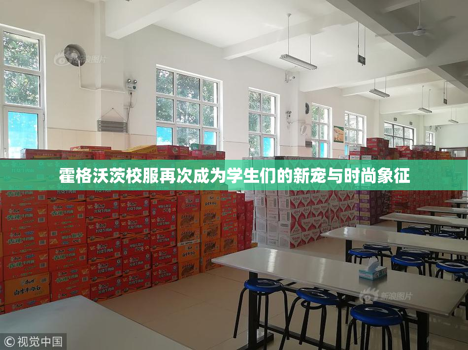 霍格沃茨校服再次成为学生们的新宠与时尚象征