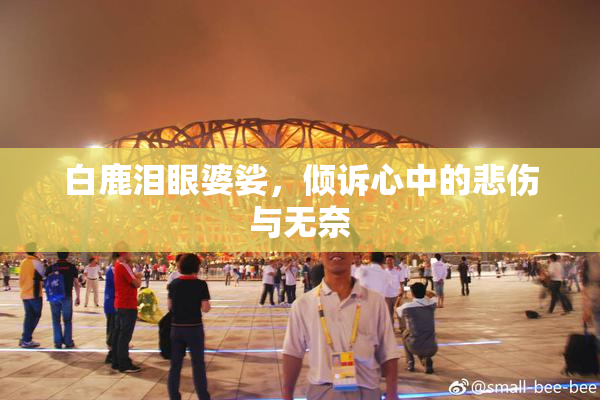 白鹿泪眼婆娑，倾诉心中的悲伤与无奈