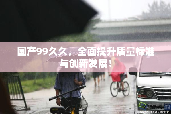 国产99久久，全面提升质量标准与创新发展！