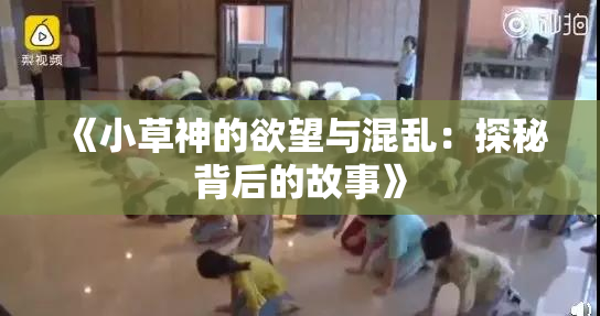 《小草神的欲望与混乱：探秘背后的故事》