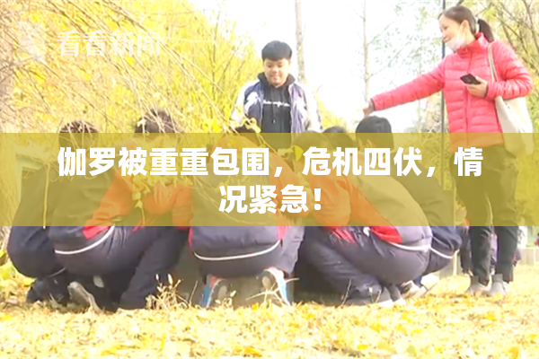 伽罗被重重包围，危机四伏，情况紧急！