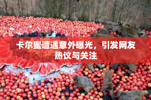 卡尔蜜遭遇意外曝光，引发网友热议与关注