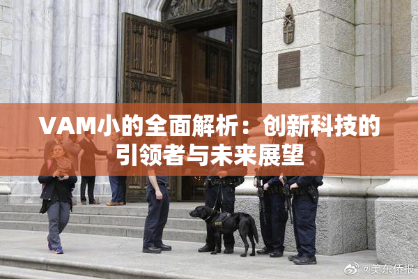 VAM小的全面解析：创新科技的引领者与未来展望