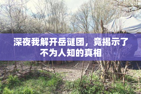 深夜我解开岳谜团，竟揭示了不为人知的真相