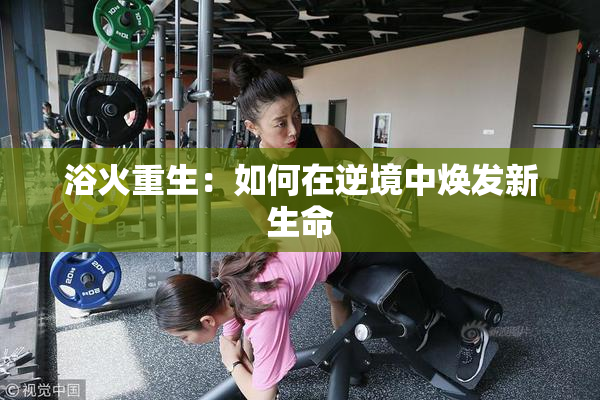 浴火重生：如何在逆境中焕发新生命