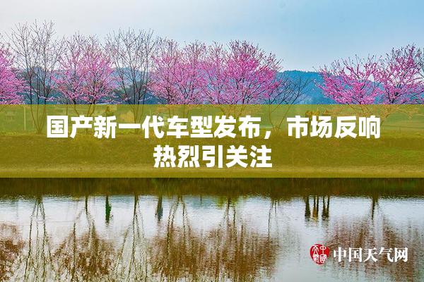 国产新一代车型发布，市场反响热烈引关注