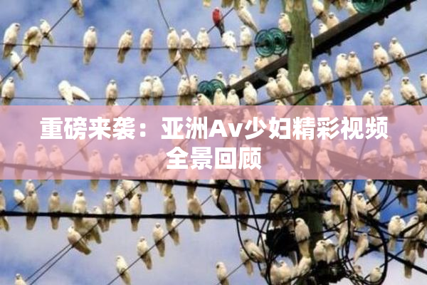 重磅来袭：亚洲Av少妇精彩视频全景回顾