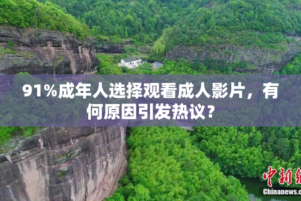 91%成年人选择观看成人影片，有何原因引发热议？