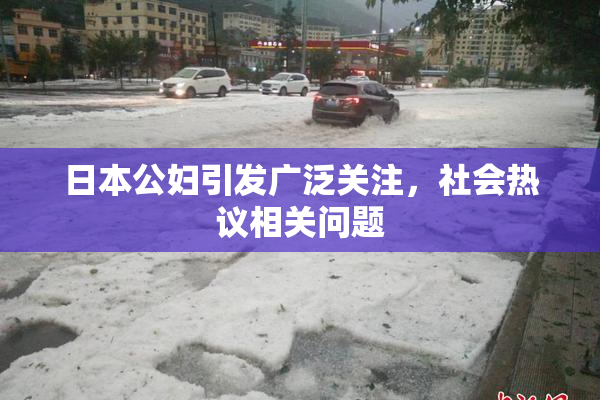 日本公妇引发广泛关注，社会热议相关问题