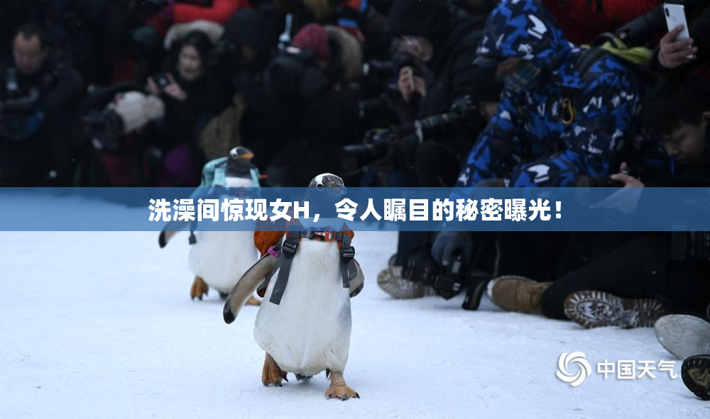 洗澡间惊现女H，令人瞩目的秘密曝光！