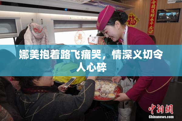 娜美抱着路飞痛哭，情深义切令人心碎