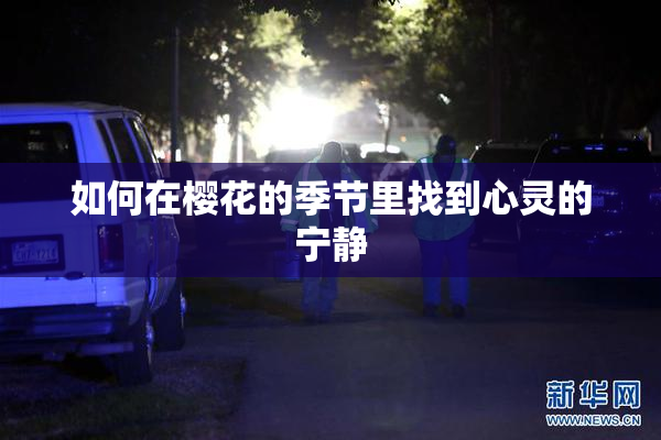 如何在樱花的季节里找到心灵的宁静