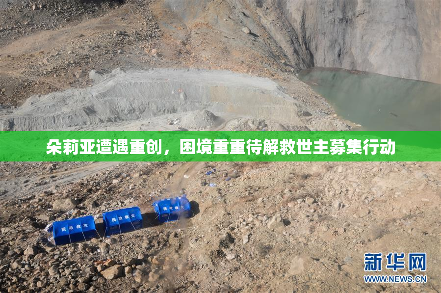 朵莉亚遭遇重创，困境重重待解救世主募集行动
