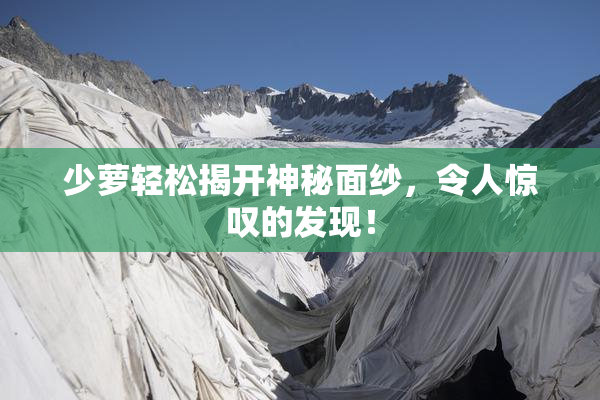 少萝轻松揭开神秘面纱，令人惊叹的发现！