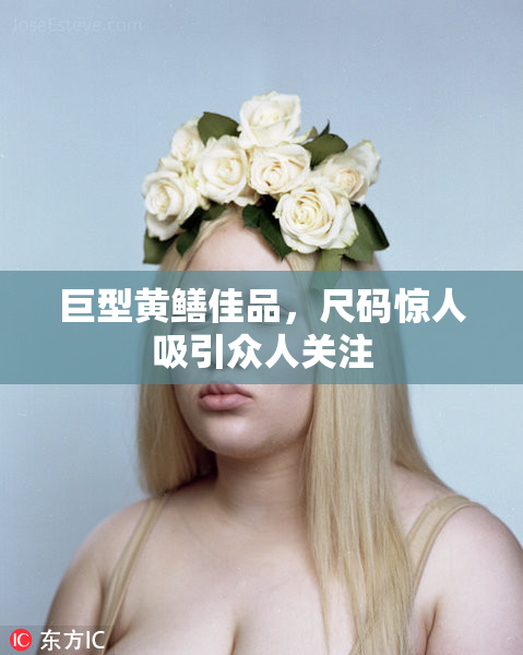 巨型黄鳝佳品，尺码惊人吸引众人关注
