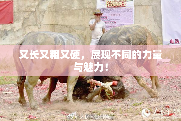 又长又粗又硬，展现不同的力量与魅力！