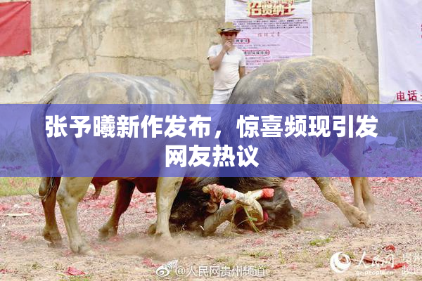 张予曦新作发布，惊喜频现引发网友热议