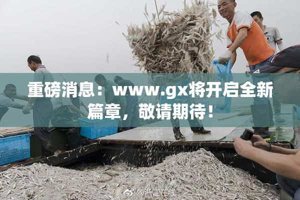 重磅消息：www.gx将开启全新篇章，敬请期待！
