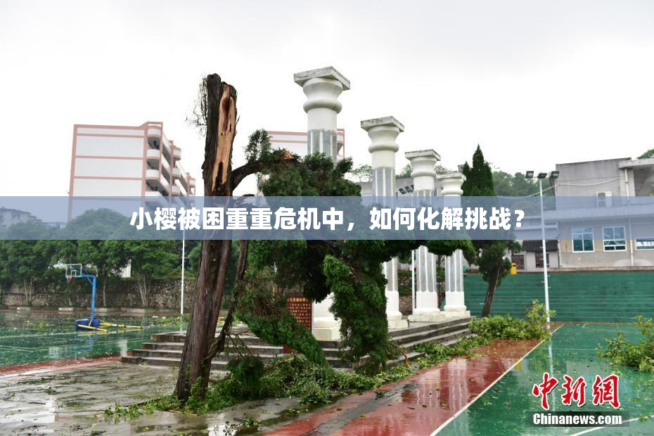 小樱被困重重危机中，如何化解挑战？