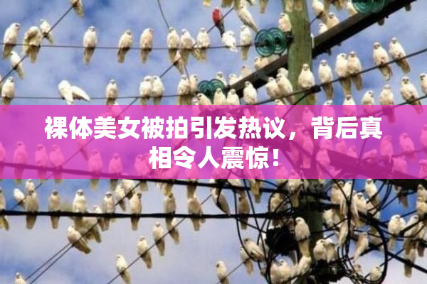 裸体美女被拍引发热议，背后真相令人震惊！