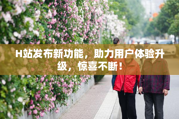 H站发布新功能，助力用户体验升级，惊喜不断！