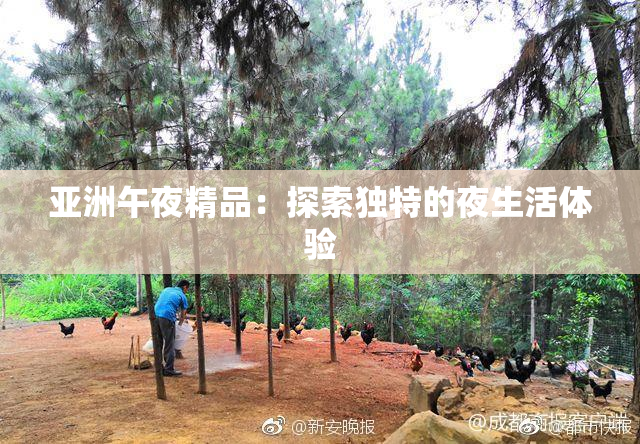亚洲午夜精品：探索独特的夜生活体验