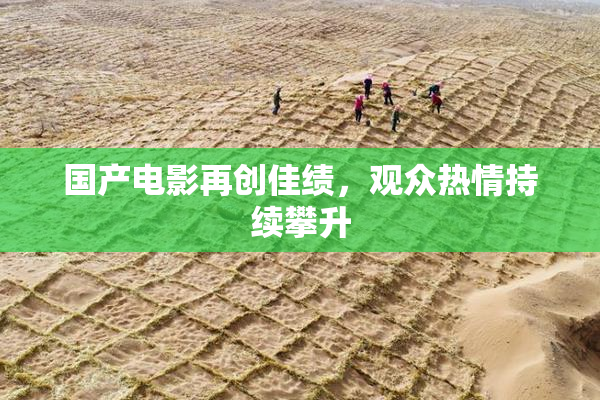 国产电影再创佳绩，观众热情持续攀升
