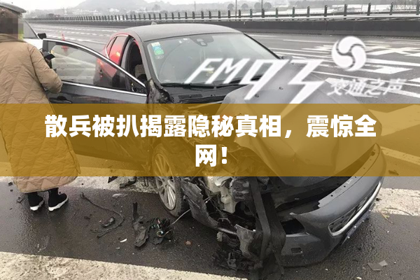 散兵被扒揭露隐秘真相，震惊全网！
