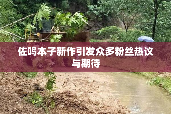 佐鸣本子新作引发众多粉丝热议与期待