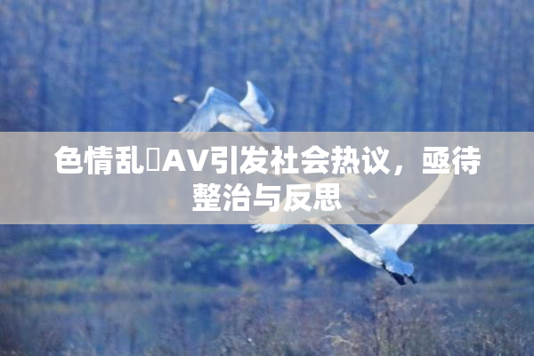 色情乱婬AV引发社会热议，亟待整治与反思
