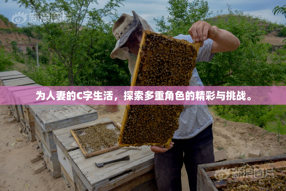 为人妻的C字生活，探索多重角色的精彩与挑战。