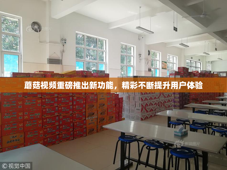 蘑菇视频重磅推出新功能，精彩不断提升用户体验