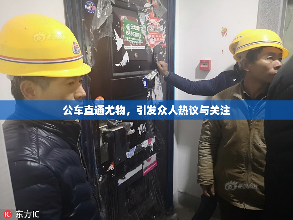 公车直通尤物，引发众人热议与关注