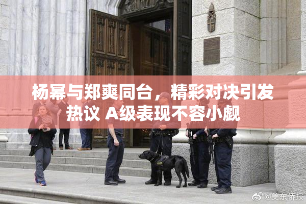杨幂与郑爽同台，精彩对决引发热议 A级表现不容小觑