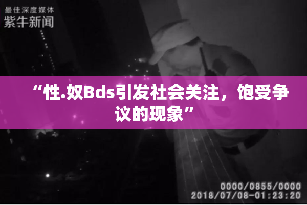 “性.奴Bds引发社会关注，饱受争议的现象”